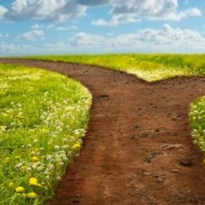 The Fork in the Road