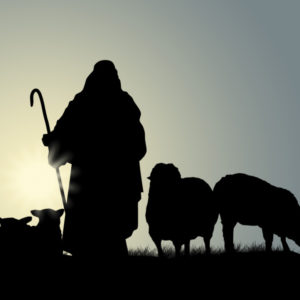 Shepherd and Sheep