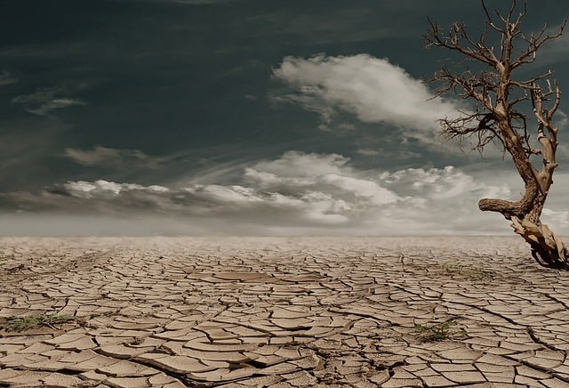 Desert Drought