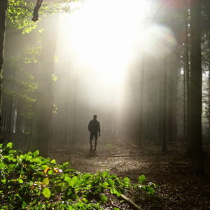 Walking Through the Woods