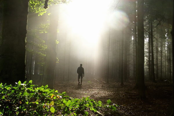 Walking Through the Woods